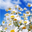 tadaizeyllc.com favicon